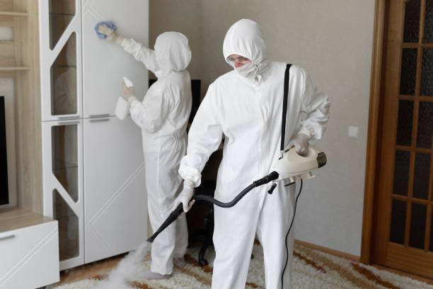 Affordable Infectious Disease Decontamination solutions in Mather, CA